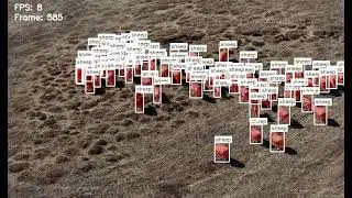 YOLOv9 Custom instance Segmentation on Local Video with Mask Overlay and Output Saving