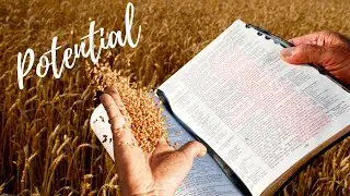 Potential Pt. II | Pastor Jorge Vargas