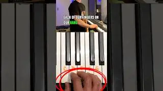 Piano for Kids - Our Fingers Have Numbers? #shorts #piano