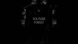 Solitude Forest - Tempus Fallit