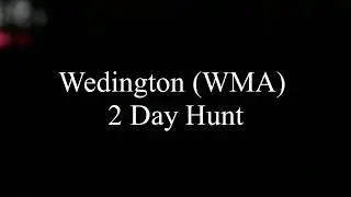 Wedington (WMA) 2 Day Hunt- A Buck and a Doe Down!