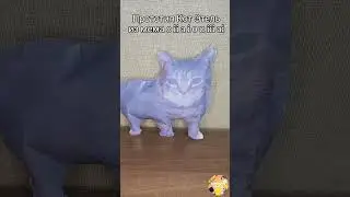 O ii a i o u iii ai #коты #мемы #прототип #танцующийкот #кириллплюш #реки #fyp #блоптоп#oiiaioiiai