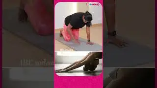 Cat Cow Yoga Pose #yoga #yogaasana #catcowpose #yogapose #yogapractice