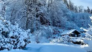 WINTER BEAUTY in GERMANY ❄️ Hygge and Gem&uuml;tlichkeit #shorts