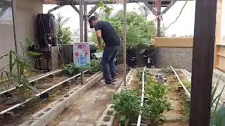 From Garden to Prepper Pantry