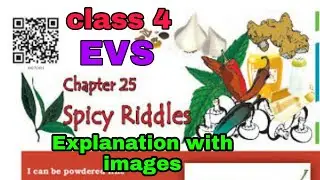 Cl- 4 , EVS, ch 25, Spicy Riddles#explanation#solutions#study#education
