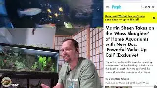 Are Aquariums Ethical?  My Thoughts on 