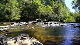30 Minutes of Relaxing Moving Water at the Little River