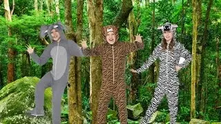 Animal Fancy Dress Onesies Video