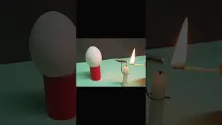 Home made Bullet VS Egg 🥚| Experiment