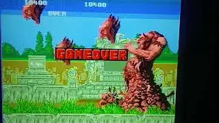 1988 Sega Genesis Altered Beast Tuesday January 13th 2026