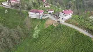 RİZE SIRT KASARCILAR (ATYONOZ)