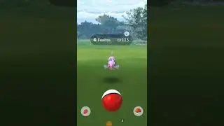 SHINY FEEBAS!!! OMFG I finally found him/ POKEMON GO New England