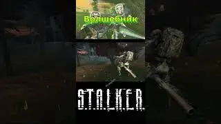Стулкер- Хорошего Настроения  #stalker #animation #survival #funny #memes #сталкер #shorts
