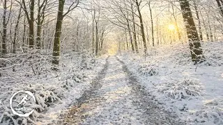 Virtual Run | Beacon Wood & Furzeclose Lane in Snow | Treadmill Running Scenery