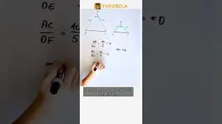 Finding Side Ratios: Similar Triangles Problem Solved! #Math #SimilarTrianglesAndPolygons