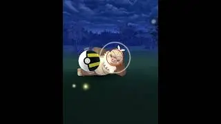 2500+ cp wild spawn pokemon go