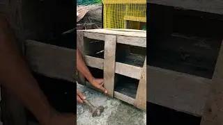 🏠👍 how to make pigeon house || NT Pigeons Youtube 2024 new video