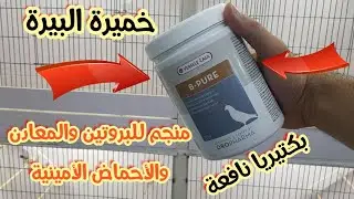 خميرة البيرة (B.PURE) البكتيريا نافعه . ومنجم للبروتين والأحماض الأمينية
