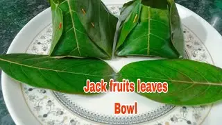 How to make Jack fruits leaves idli Bowl steamed idli Jackfruit Bowl #indianfood #viralvideo#cooking