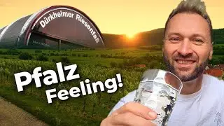 BAD D&Uuml;RKHEIM erleben &ndash; HIGHLIGHTS zwischen WEINBERGEN und PF&Auml;LZER LEBENSLUST