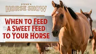 When to Feed a Sweet Feed to Your Horse