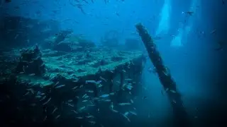 Baron Gautsch - Titanic of the Adriatic Sea
