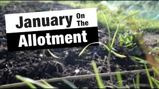 January Plot Tour | JB's Allotment Diaries