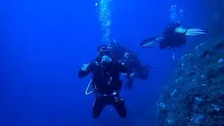 A M P  Punta Campanella e Capri con Barracuda Diving