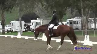 412 1 Lisa Sabo on Sweet Hooligan 2015 Second Level Test 1 Galway Downs Winter Dressage Jan. 2015