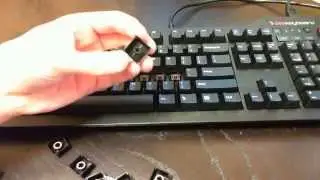 Mechanical Keyboard O-ring installation and sound comparison