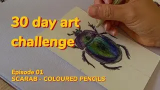 Episode 1 - 30 day art challenge - Scarab - Coloured Pencils