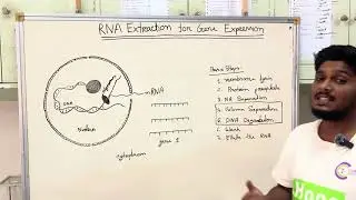 RNA extraction theory and practically presentation 