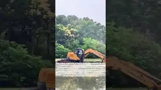 Sinking Swamp King: The Aquatic Excavator Rescue Mission!
