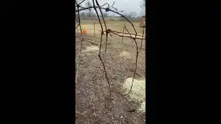 The Most DANGEROUS on the Farm