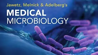 CHAPTER 3 - Taxonomy, Classification, and Identification of Medically Important Bacteria