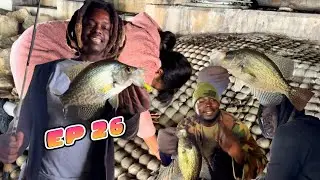 INSANE Bridge Bite! Back-to-Back Crappie, Bluegill & Bass | Fish Tales Ep. 26