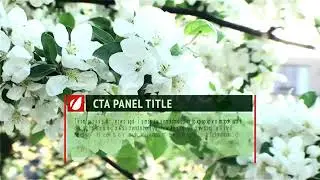 Sliding Brackets Lower Third | After Effects Project Files - Videohive template