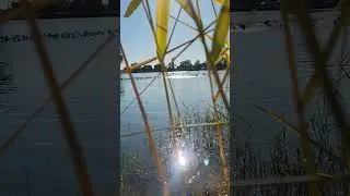 Light reflecting off water is life optimizing information #sunlight  #light #nature