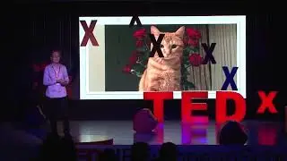 Wisdom of animals | Ani Akhalaia | TEDxIBEuropeanSchool