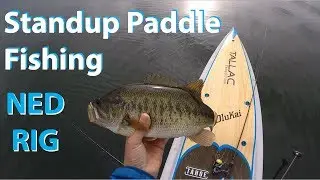 Bass Fishing from Standup Paddle Board with Ned Rig