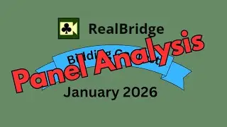 January 2026 RealBridge Panel Analysis