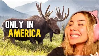 Finnish Girl Reacts to 24 Awesome Animals Only Found In The US