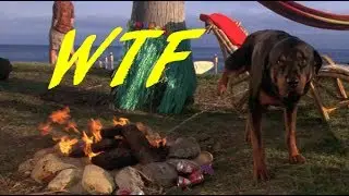 Christmas Vacation 2: Cousin Eddie's Island Adventure - WTF Reviews