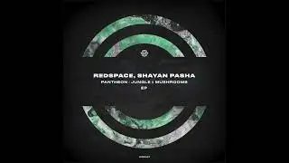 Redspace, Shayan Pasha - Pantheon (Original Mix) [Progressive House]
