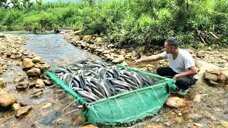 Full video of 90 days of trapping fish in streams using primitive methods. Caught a big haul of fish