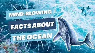 9 Mind Blowing Ocean Facts