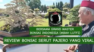 REVIEW BONSAI SERUT PAJERO WITH GRAND MASTER BONSAI INDONESIA || ASPAC GIANYAR