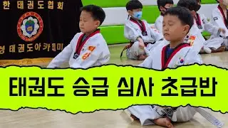 태권도 승급 심사 흰띠에서 노란띠로 초급반