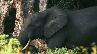 kamba hero felixstudios 16x9 rev2 01 nobranding 1080p